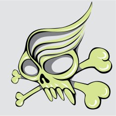 skull and crossbones N25