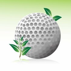 Golf Ball N14