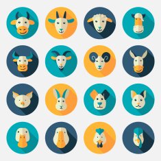 Farm animals flat icons with long shadow