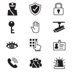 Security Icons N10