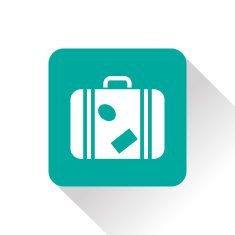 Luggage vector icon N8