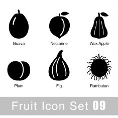 Fruit flat icon design
