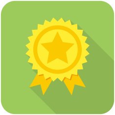 Award Icon N6