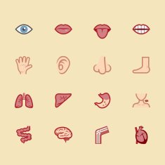 body element vecter color icon set1