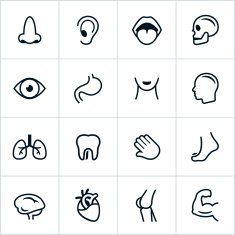 Black Human Anatomy Icons - Line Style