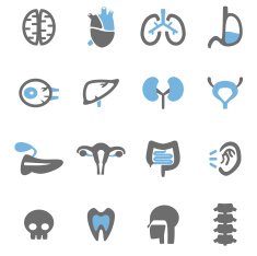 Organ Icon N7