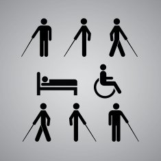 Disability N2
