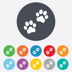 Paw sign icon Dog pets steps symbol