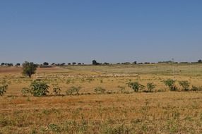 extraordinary beautiful field landscape