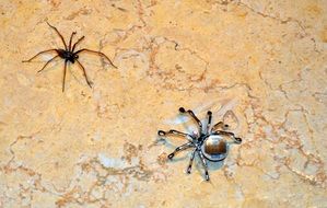 Crystal spider and natural spider