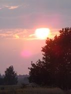 nature at twilight