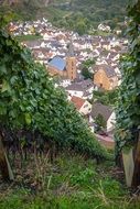 village in the mountains in Dernau