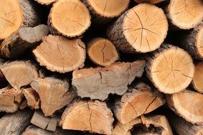 logs closeup