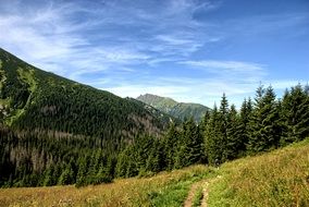 hiking trail in scenic landscape, slovakia, koperszadÃ³w