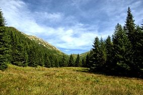 tourists valley koperszadów Tatry Slovakia nice view