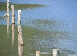 wooden logs in a mountain lake