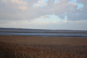 field with dry grass near the lake