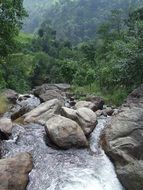 streem among rocks in green mountains, nepal, annapurna