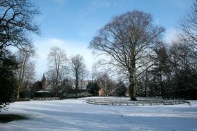 snow cover in the park