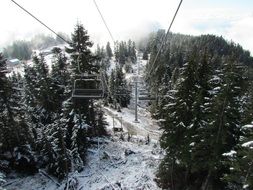 cable car over the forest