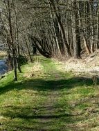 landscape of forest trail for hiking on a sunny day