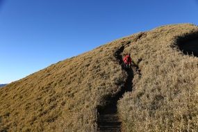 Children climb a mountain