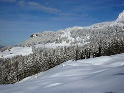 wintry cold landscape of Switzerland on a sunny day