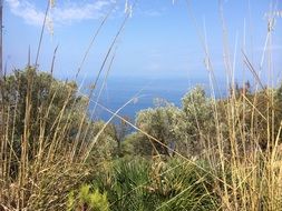 sea view in majorca