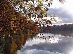 forest lake in the fall