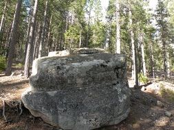 big stone in the woods