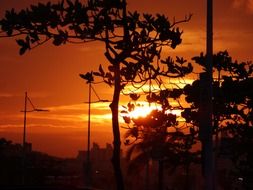 beautiful sunset in eventide