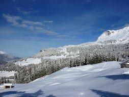 Switzerland cold winter snow
