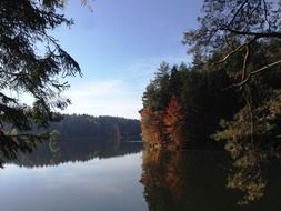 Lake Forest Shores