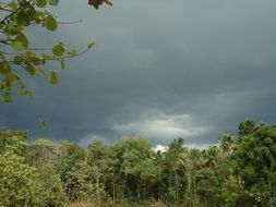 nature rain weather