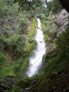 Beautiful, small waterfall among green forest with rocks