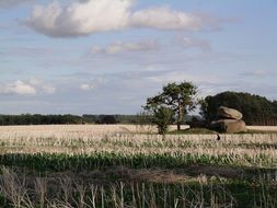 landscape of Fields in Northern Germany