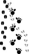 drawn traces of different animals on a white sheet