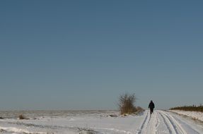 gorgeous wintry landscape