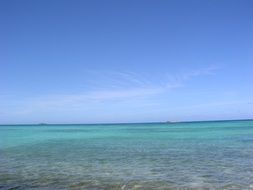blue sky over the tropical coas