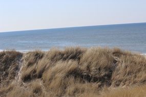 Landscape of drought dunes