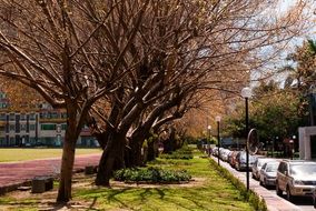 street panorama in Newnham