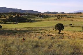 farmland and distant mountains, usa, colorado