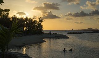 sunset caribbean palm trees tropical scene