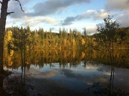 reflection of the golden forest in the pond