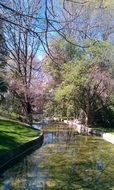 river among the picturesque park