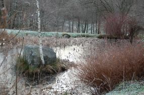 panoramic view of the pond among the trees in winter