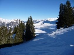 shadow and light in a winter landscape