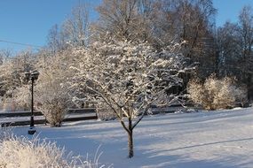 snowy park in the city of Uppsala