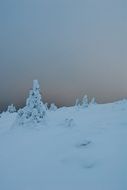 cold white snow winter at dusk