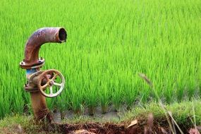 rusty pipe with a valve on a background of green field
